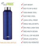 Regular Blue SS Bottle